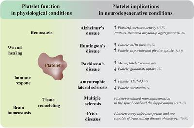 Platelets in Neurodegenerative Conditions—Friend or Foe?